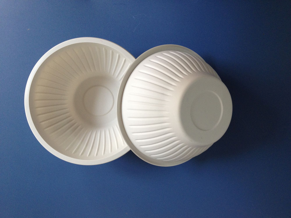 Biodegradable Food Container